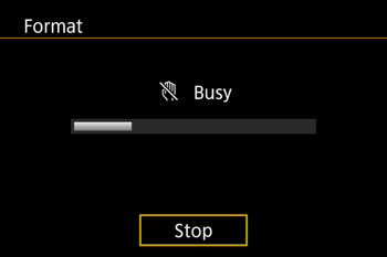 permanently erase data on Panasonic camera/camcorder