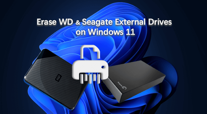 format a WD/Seagate external hard drive on Windows 11