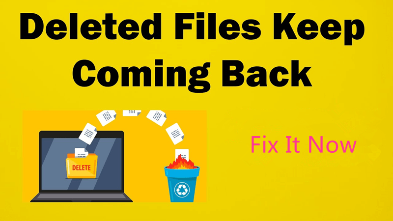 Fix Deleted Files Keep Coming Back to External Drives/USB Drives/SD Cards