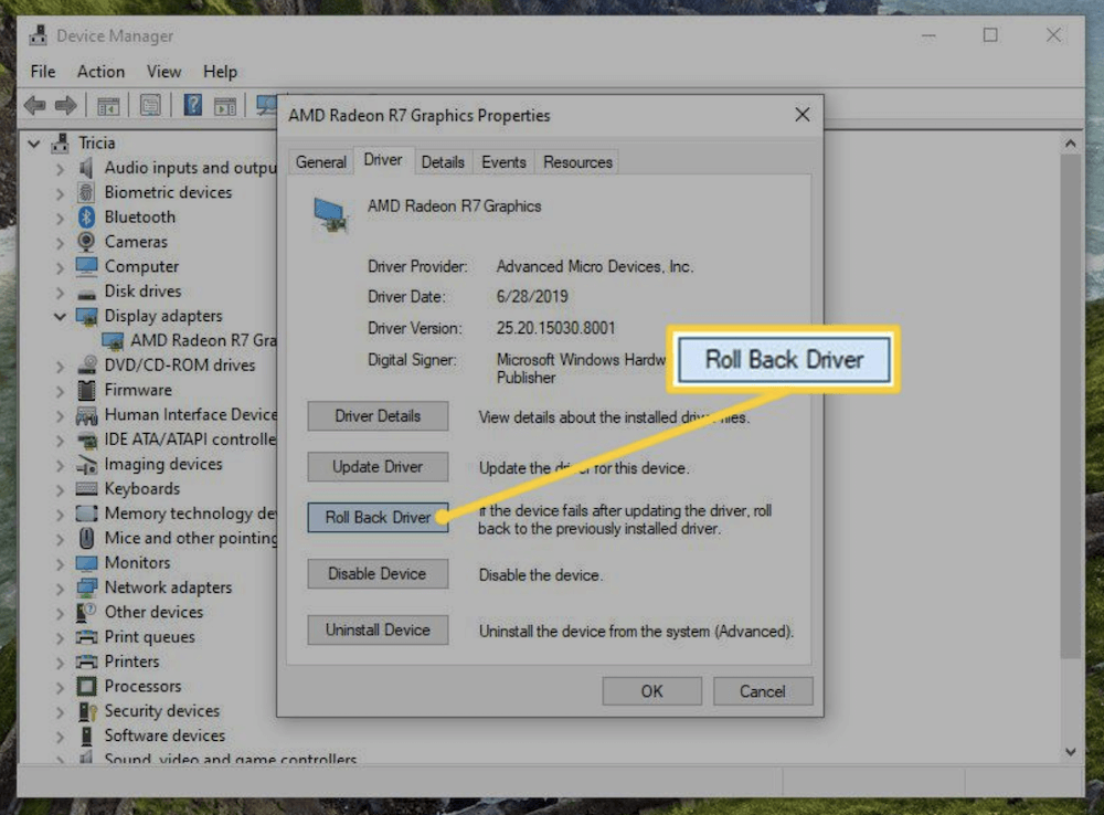 Windows has stopped this device because it has reported problems (Code 43)