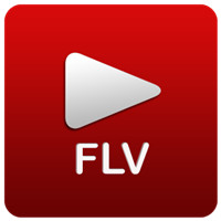 recover permanently deleted FLV videos