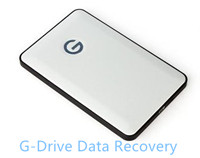 recover deleted or formatted files from G-Drive external hard drive on Mac