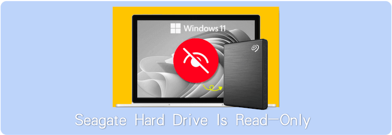 Seagate drive read-only on Windows 11/10