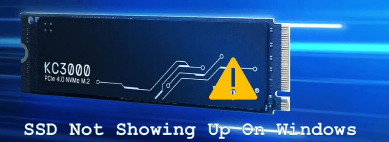 SSD not showing up on Windows