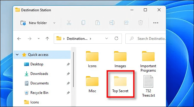 unhide files on Windows 11