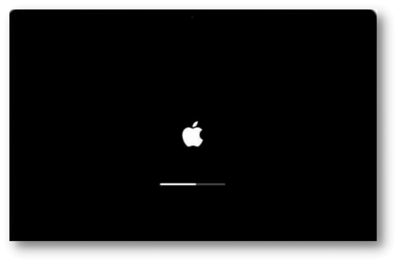 Mac starts up to an apple logo or process bar