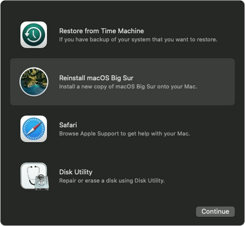 macOS Big Sur data erasure