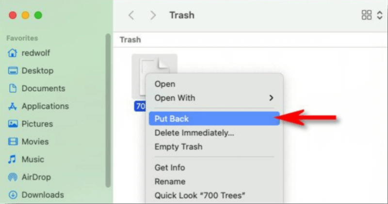 AVCHD video recovery for Mac