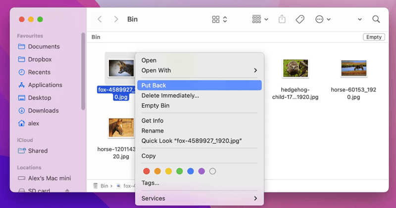 macOS photo recovery solution