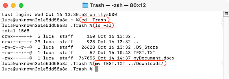recover lost files due to unfinished cut/copy in Mac OS X