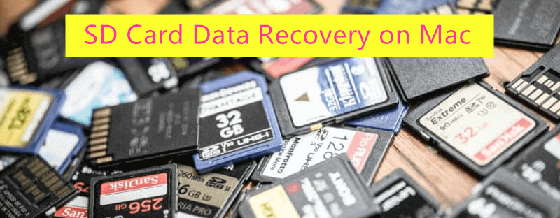 How to Recover Deleted or Formatted Data from SD Card