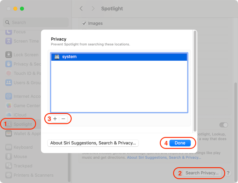 macOS running slow after upgrading to Sequoia