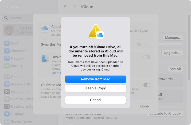 turn off iCloud drive on Mac