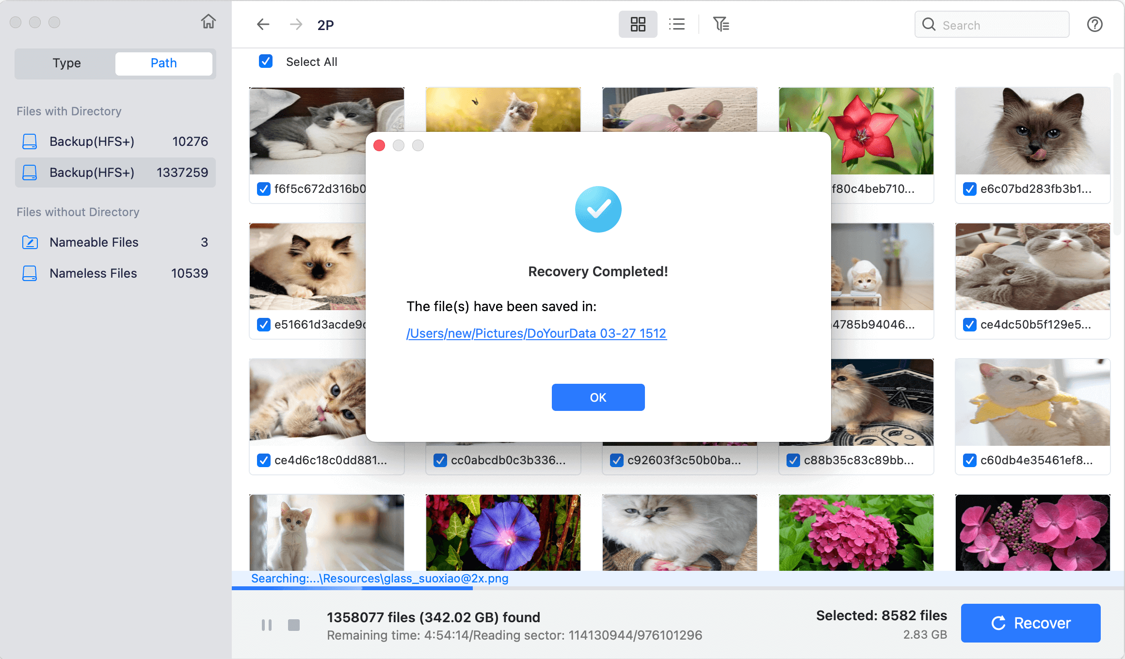 free unformat memory card on Mac
