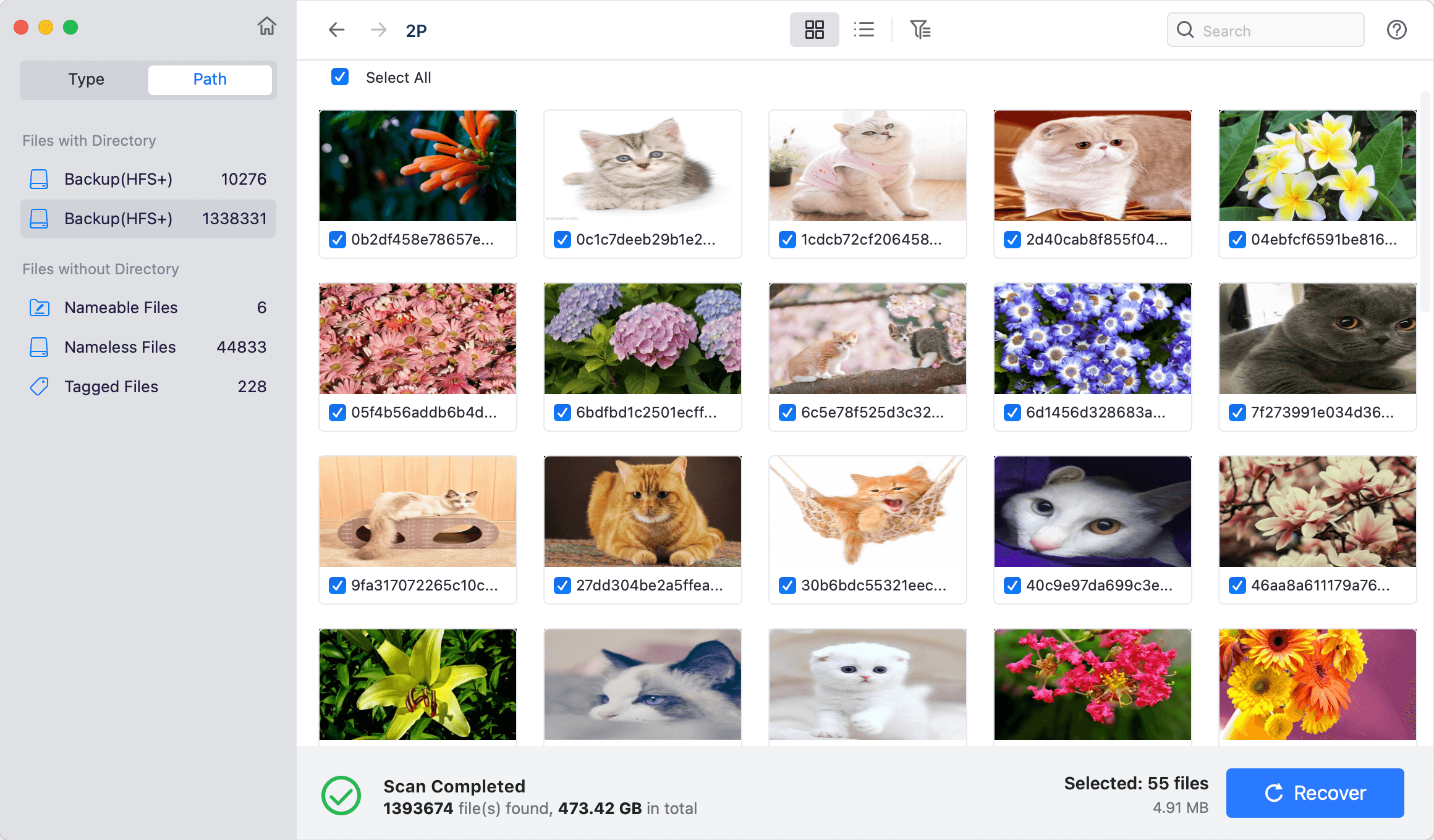 recover deleted photos from memory card on Mac